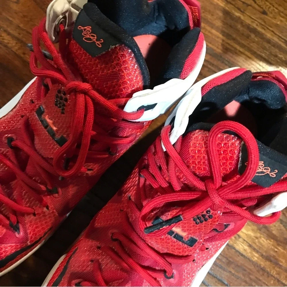 👟Nike Lebron XII Heart of a Lion Sneakers